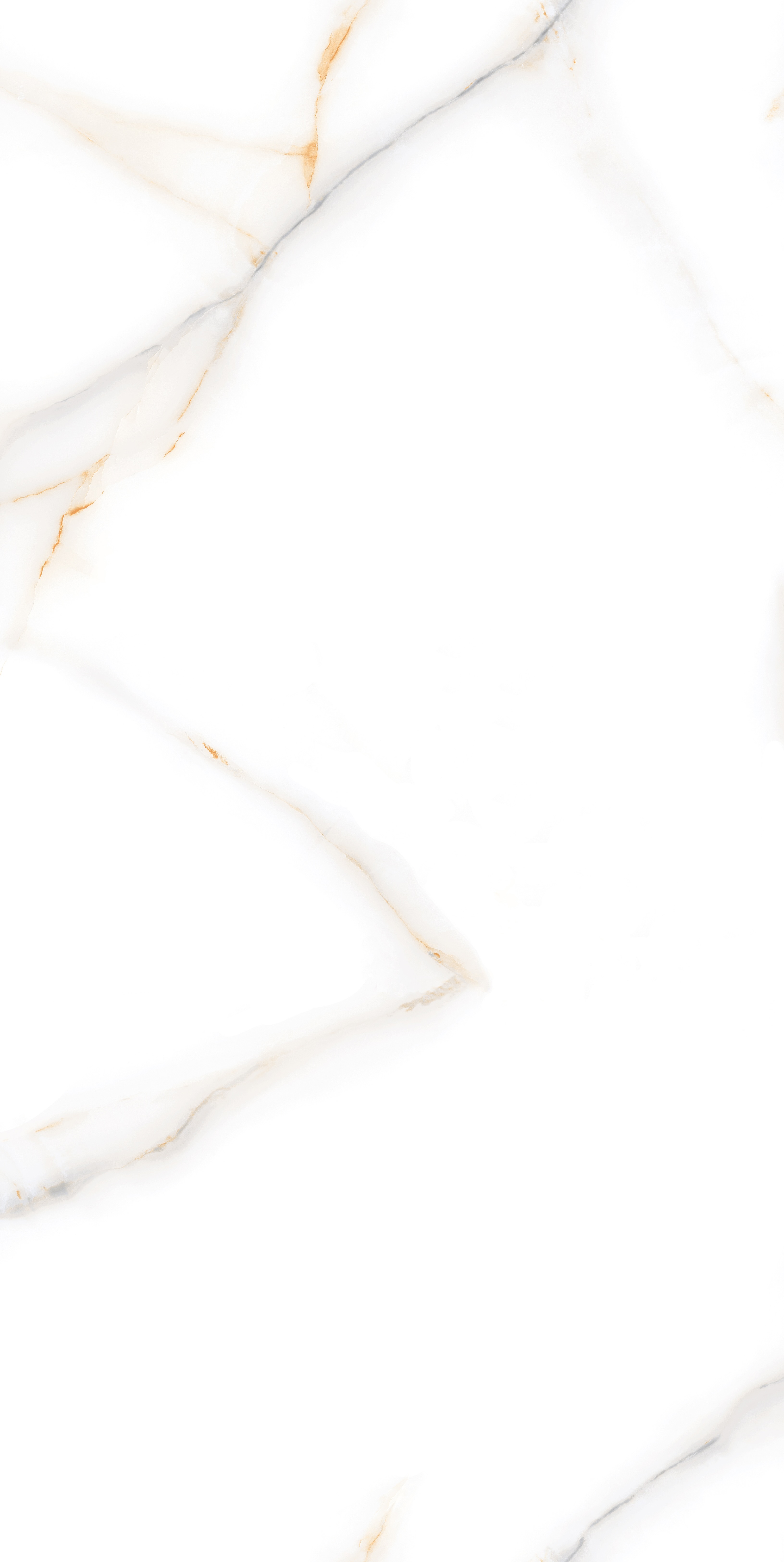 project-image
