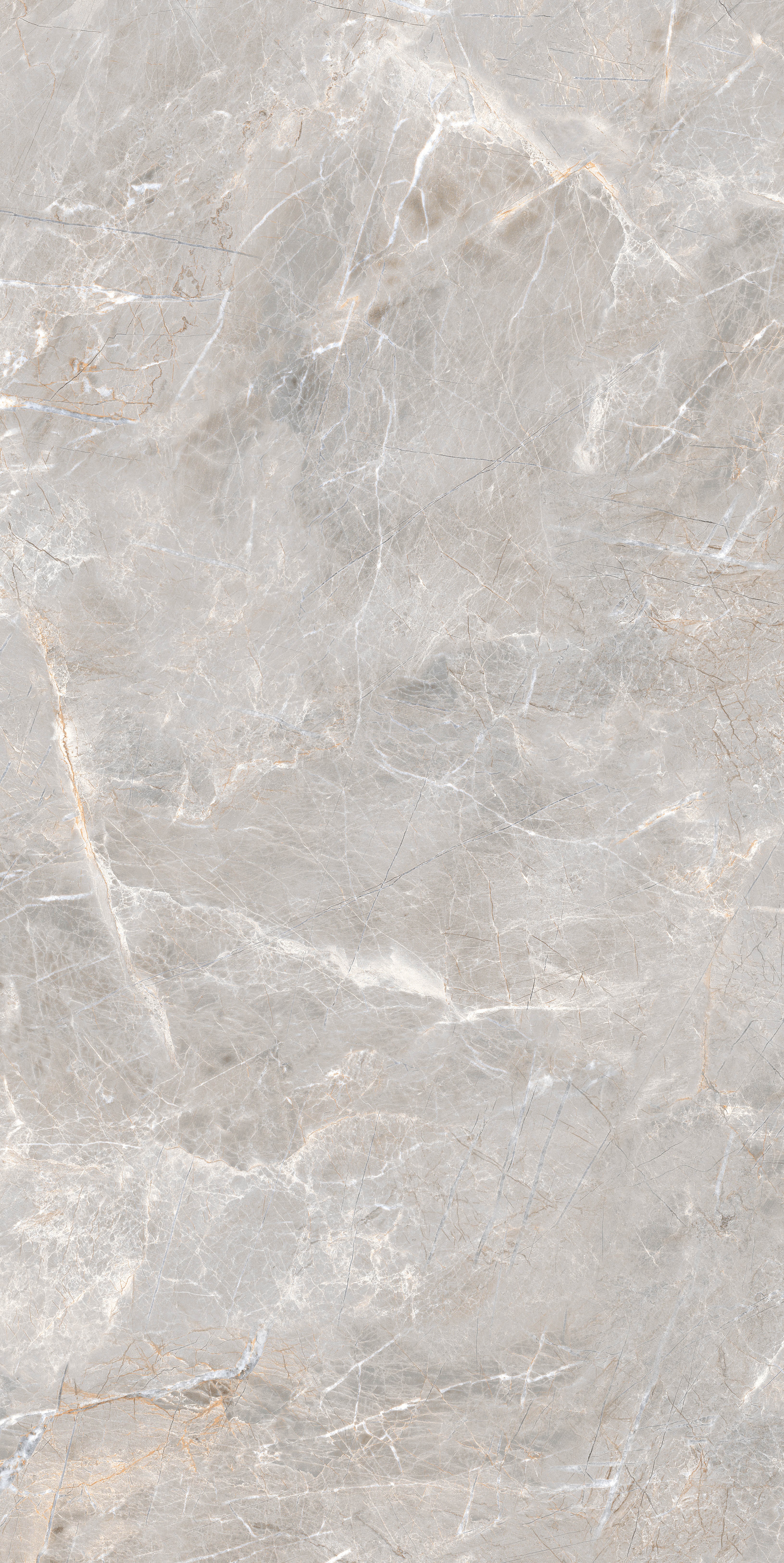 project-image