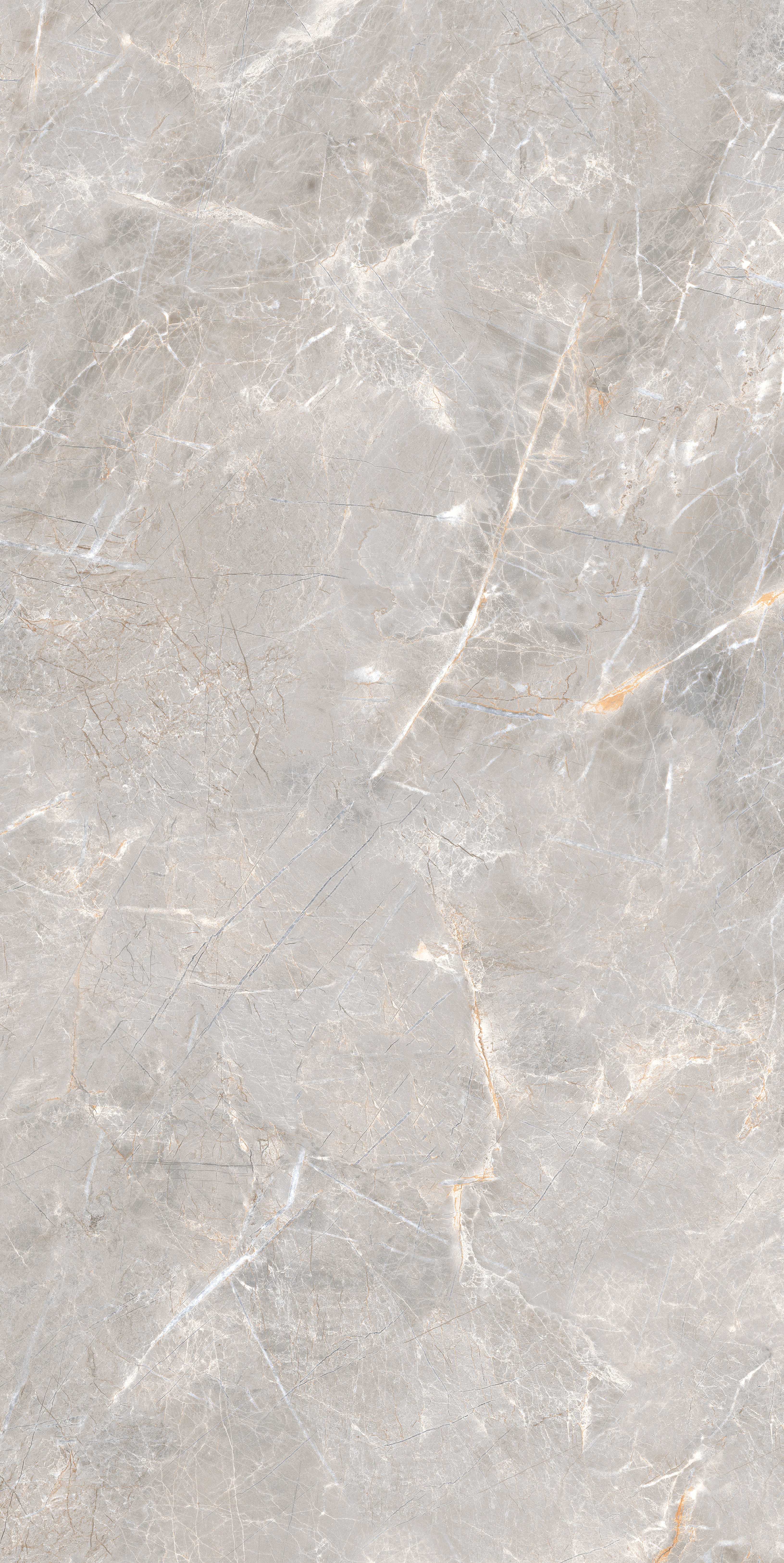 project-image