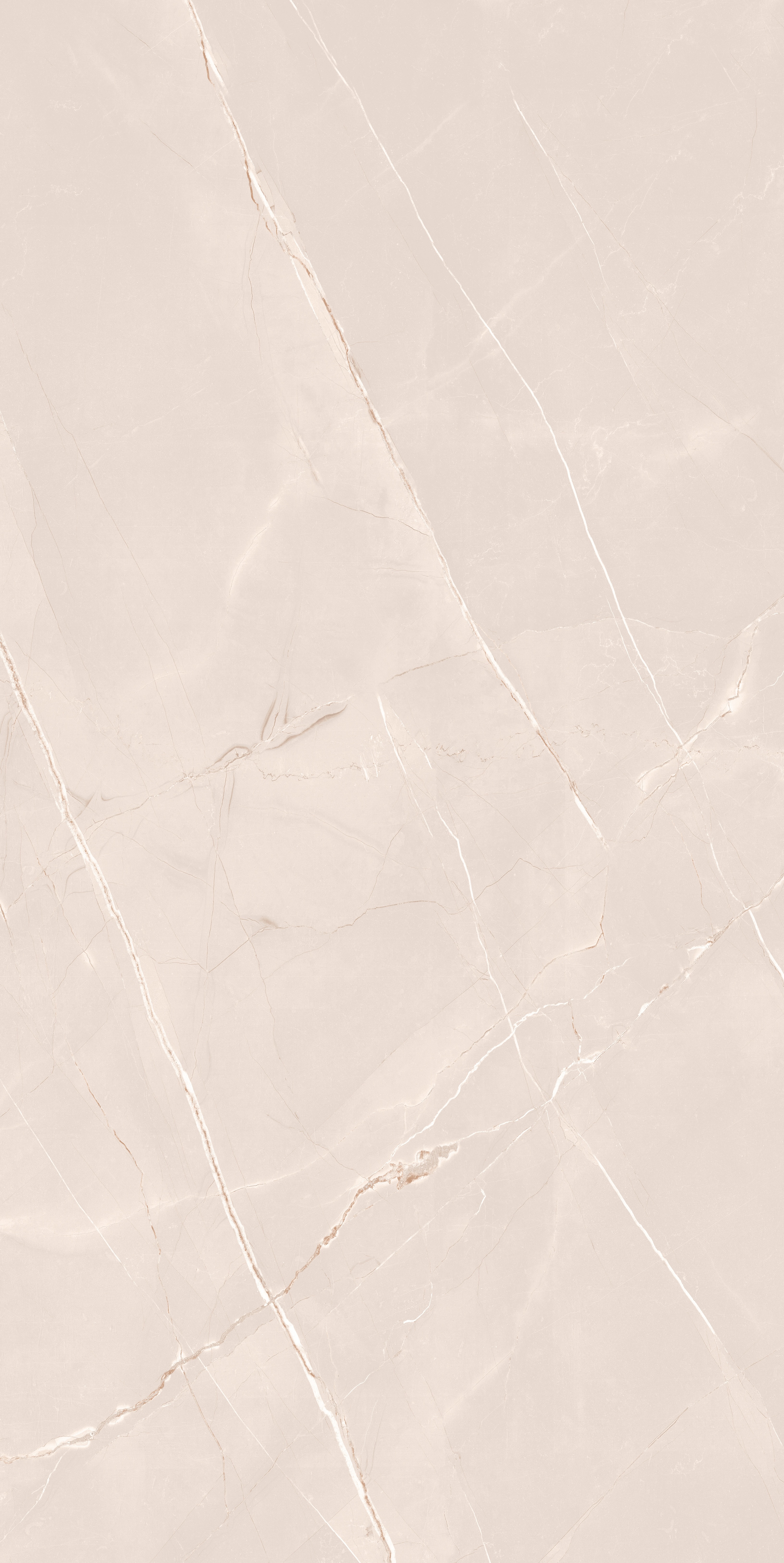 project-image