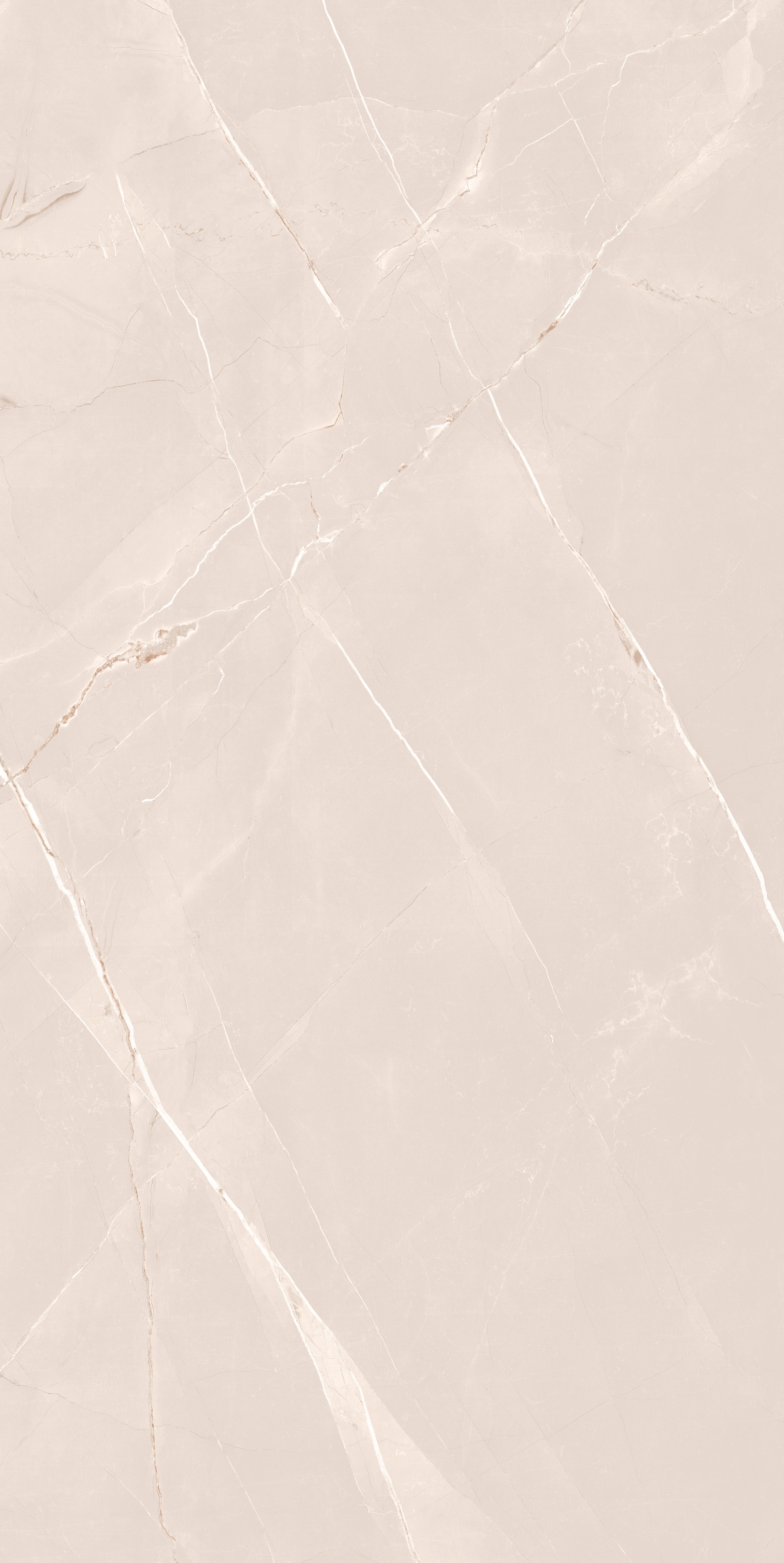 project-image