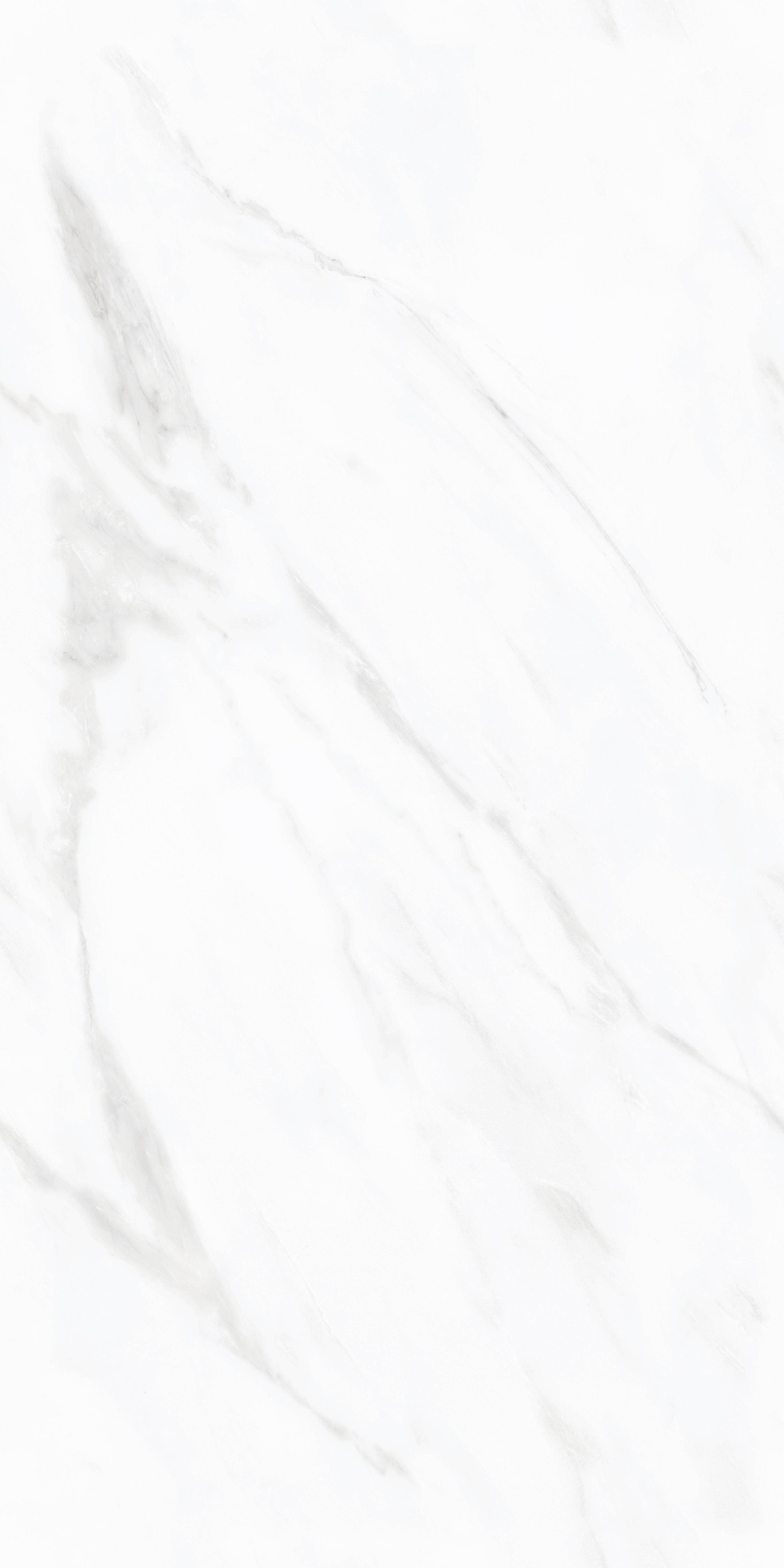 project-image