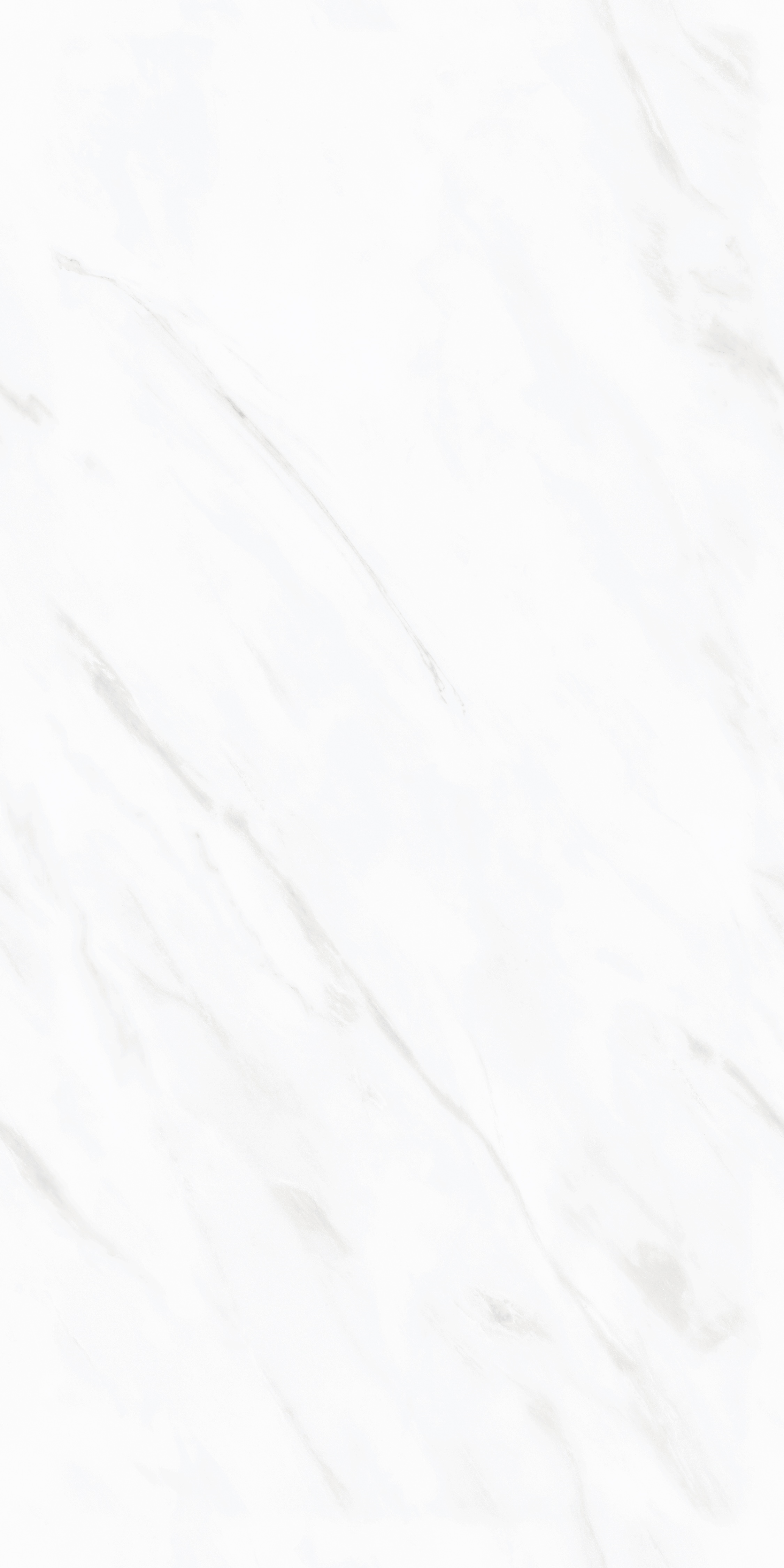 project-image
