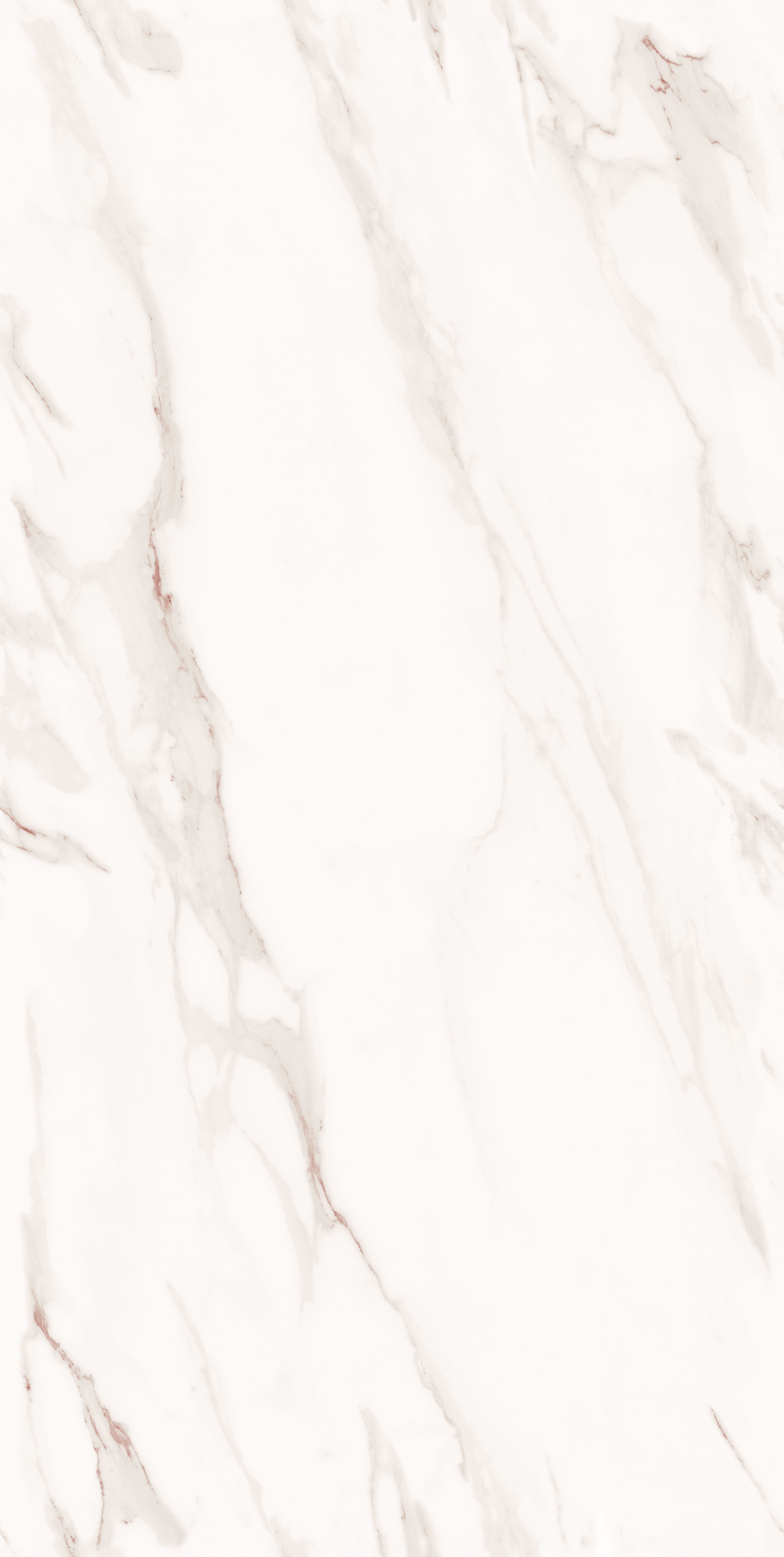 project-image