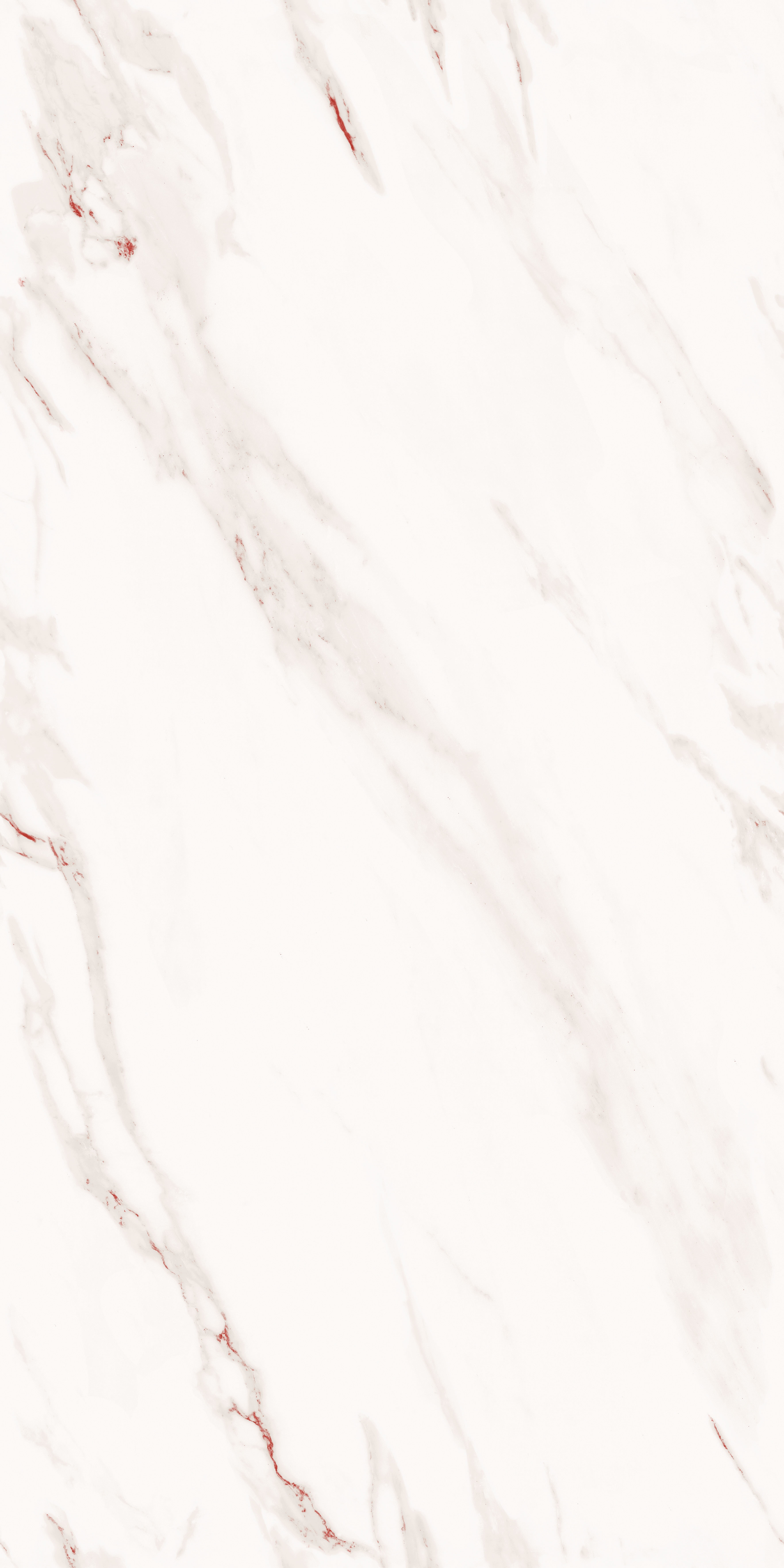 project-image