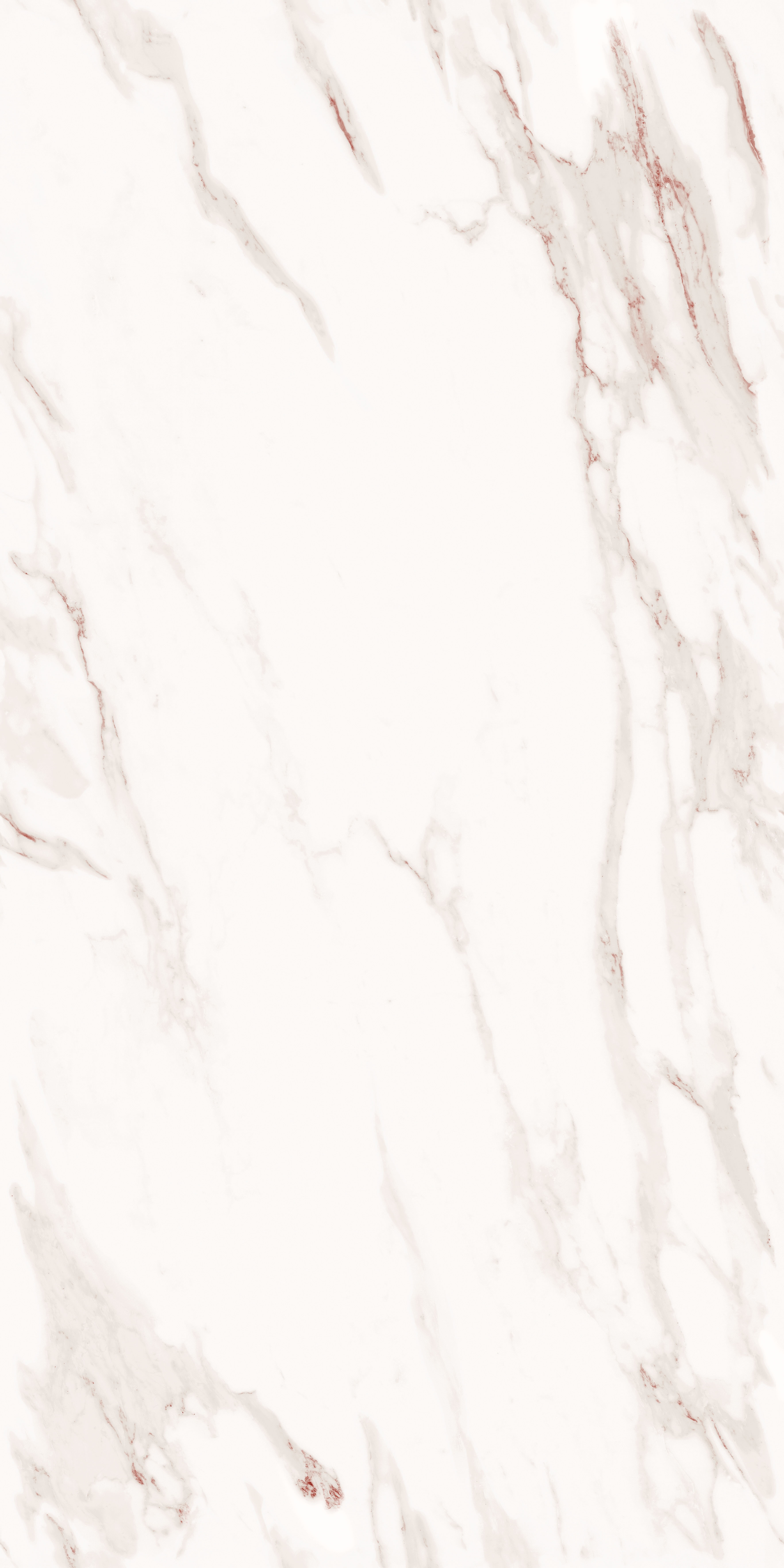 project-image