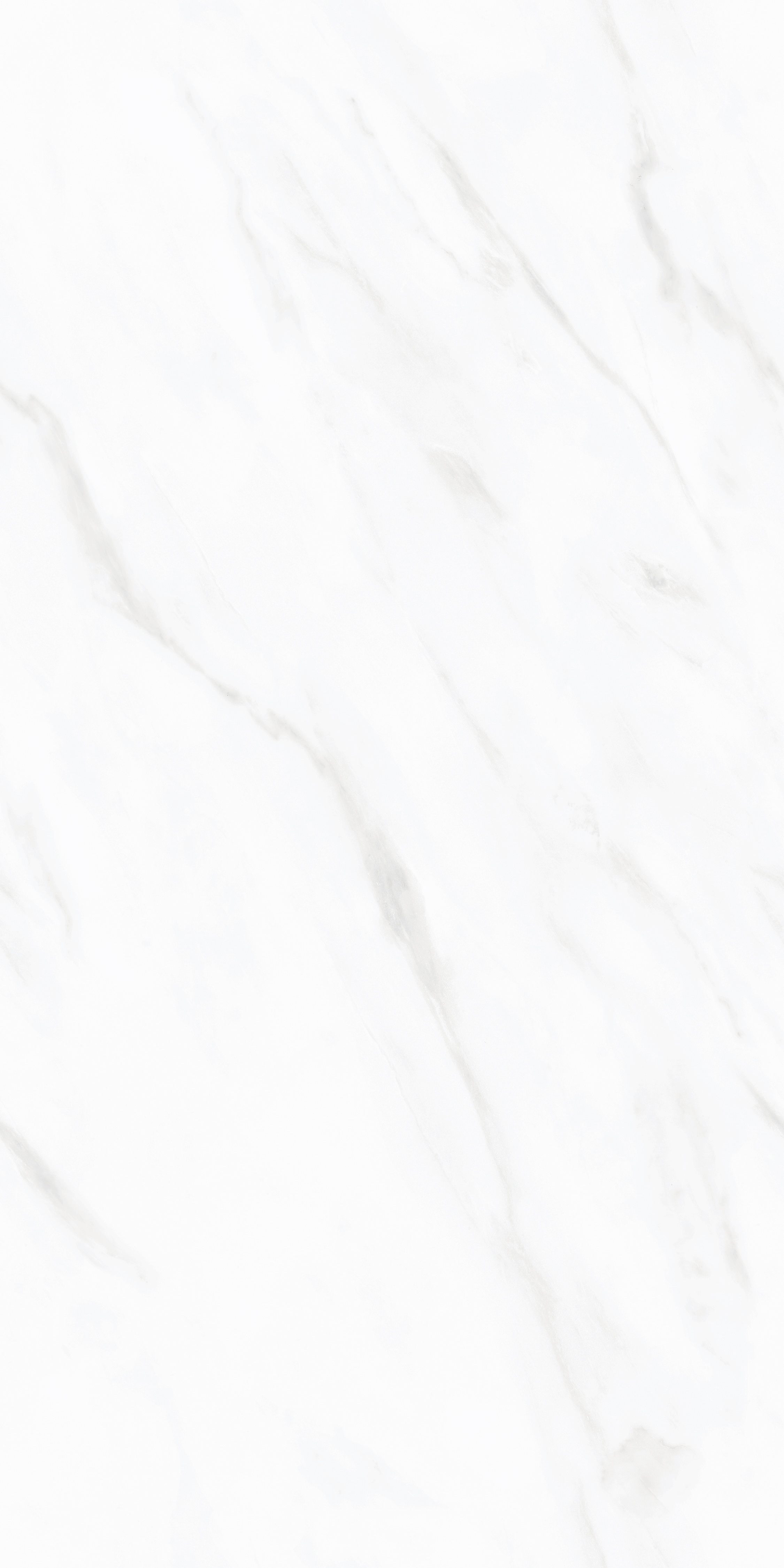project-image