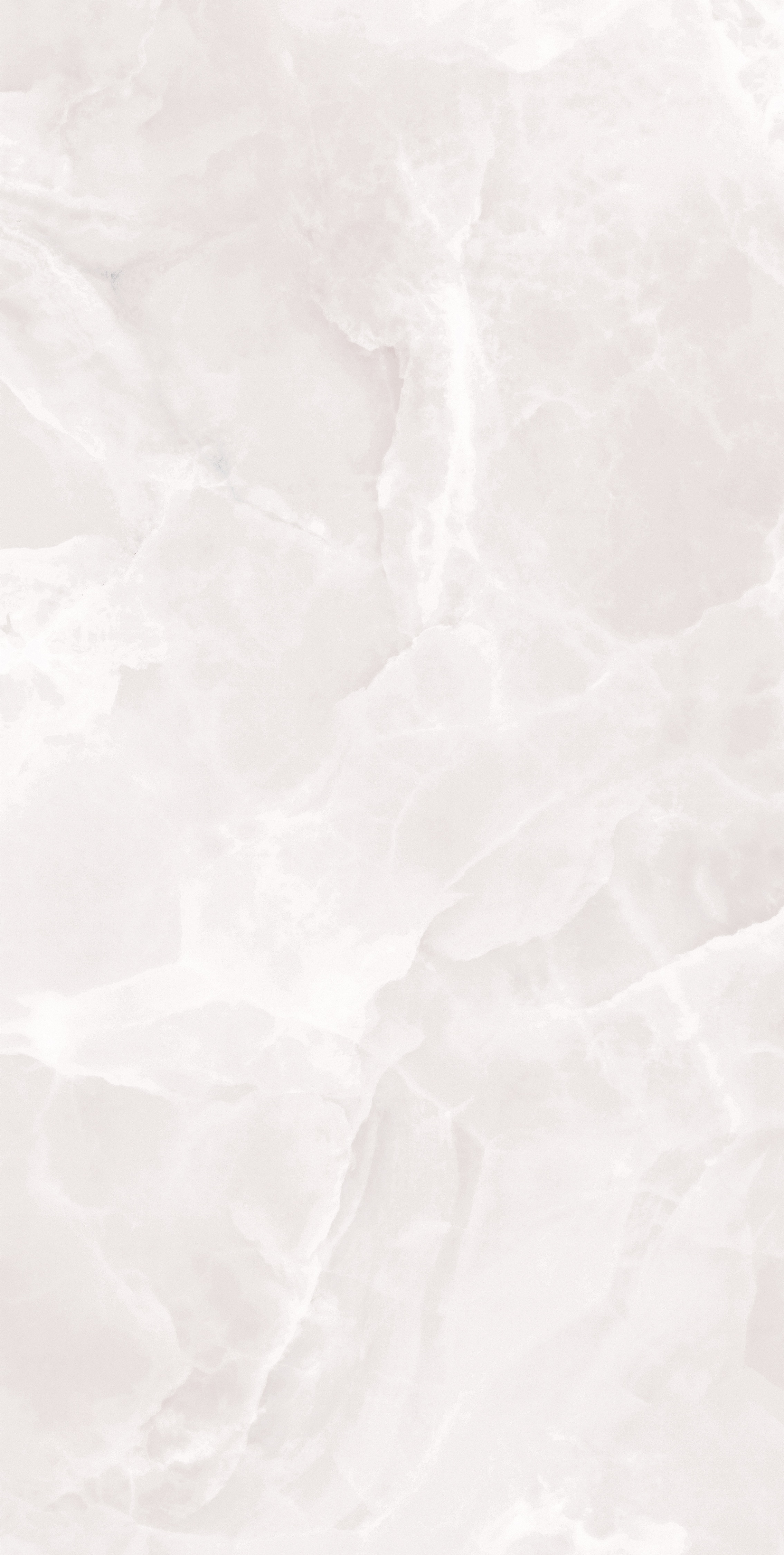 project-image