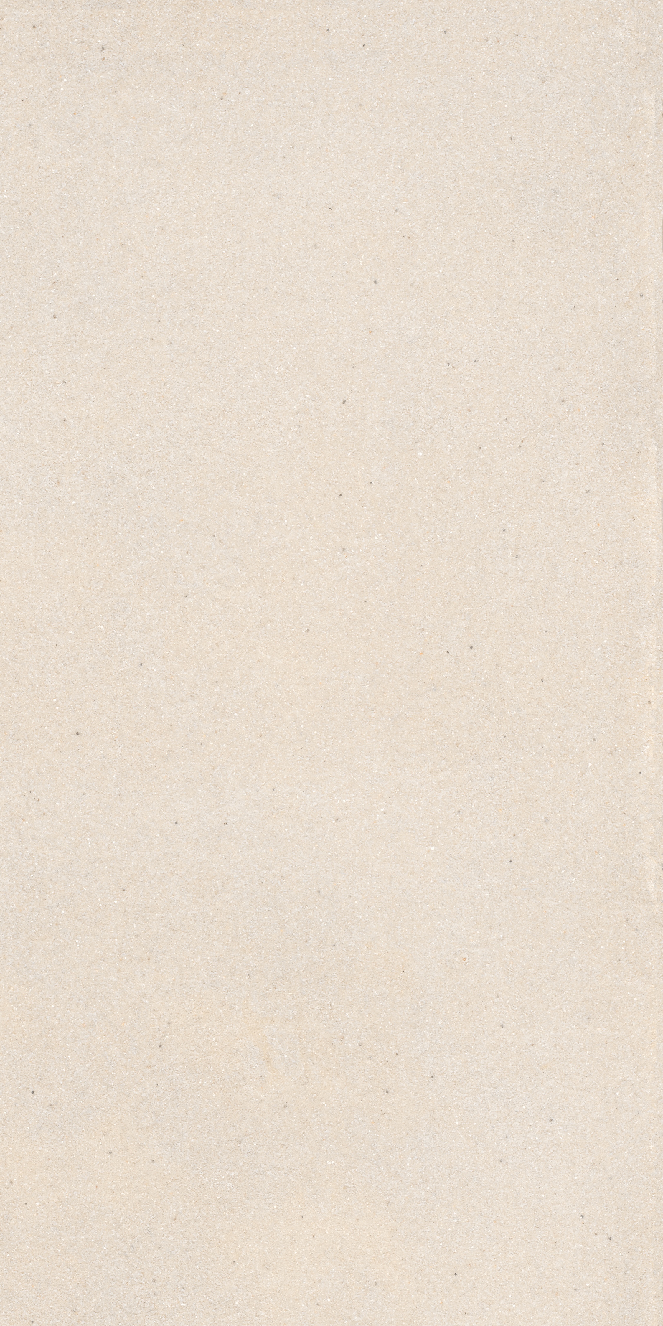project-image