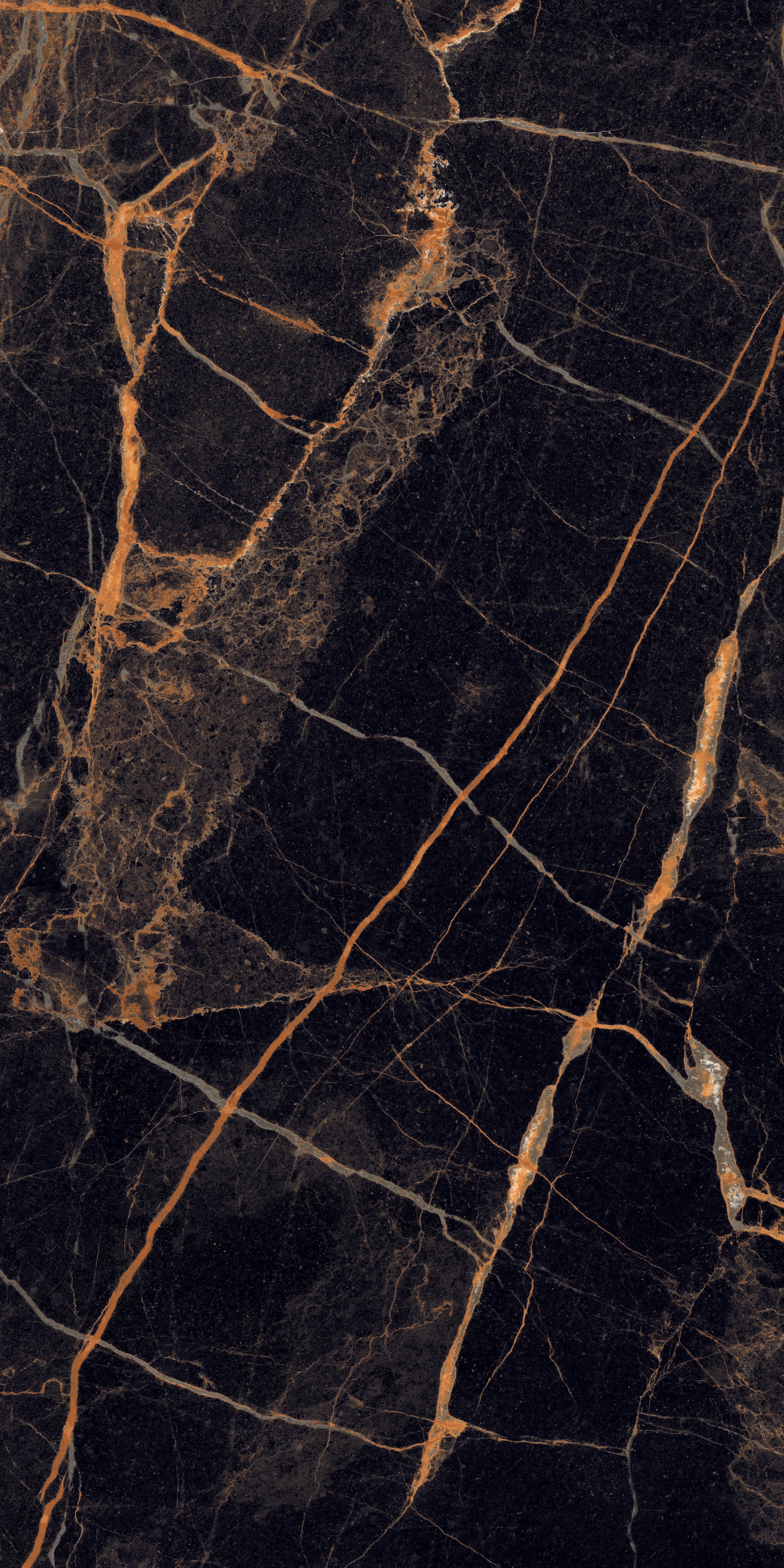 project-image