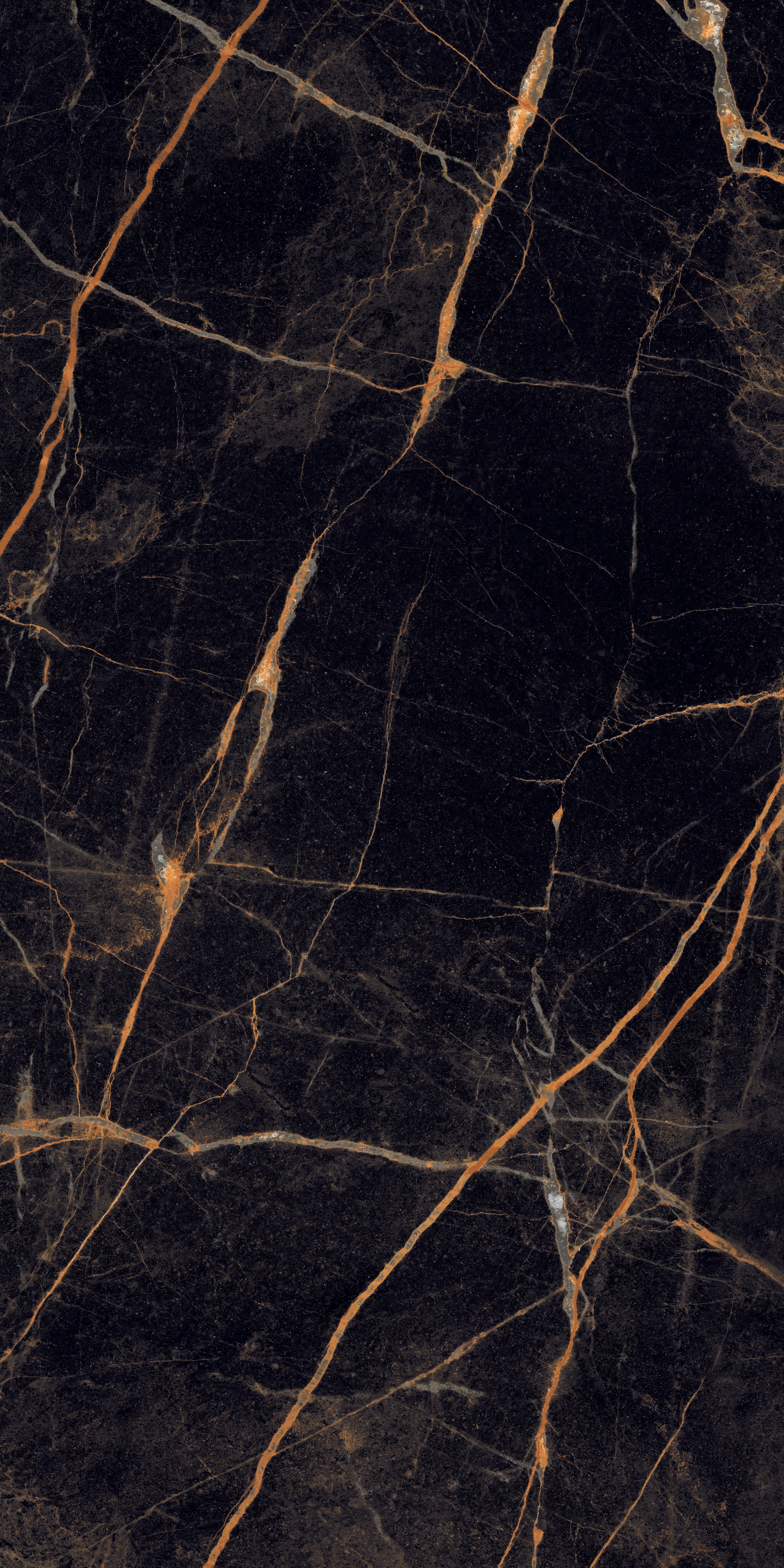 project-image