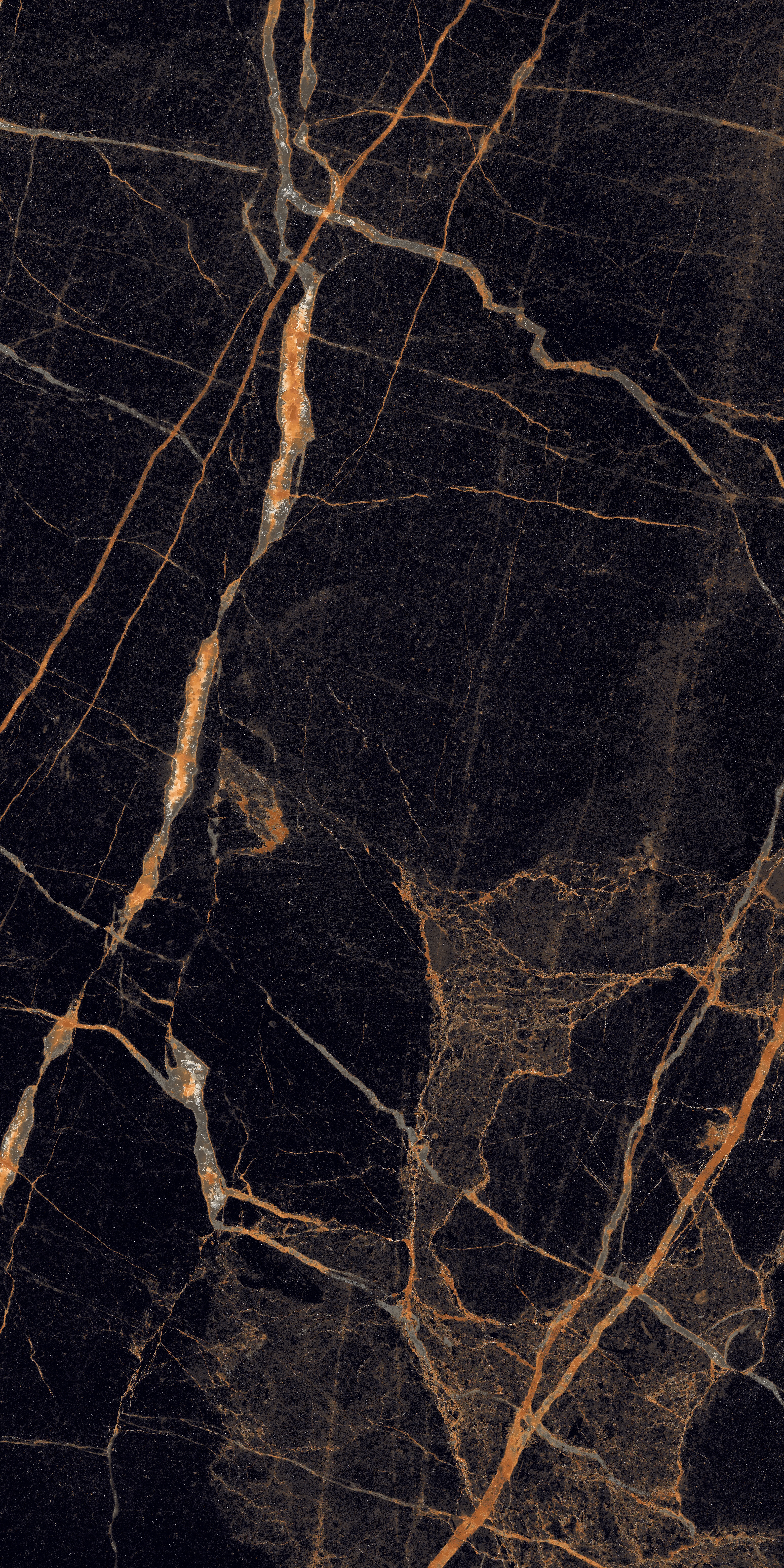 project-image