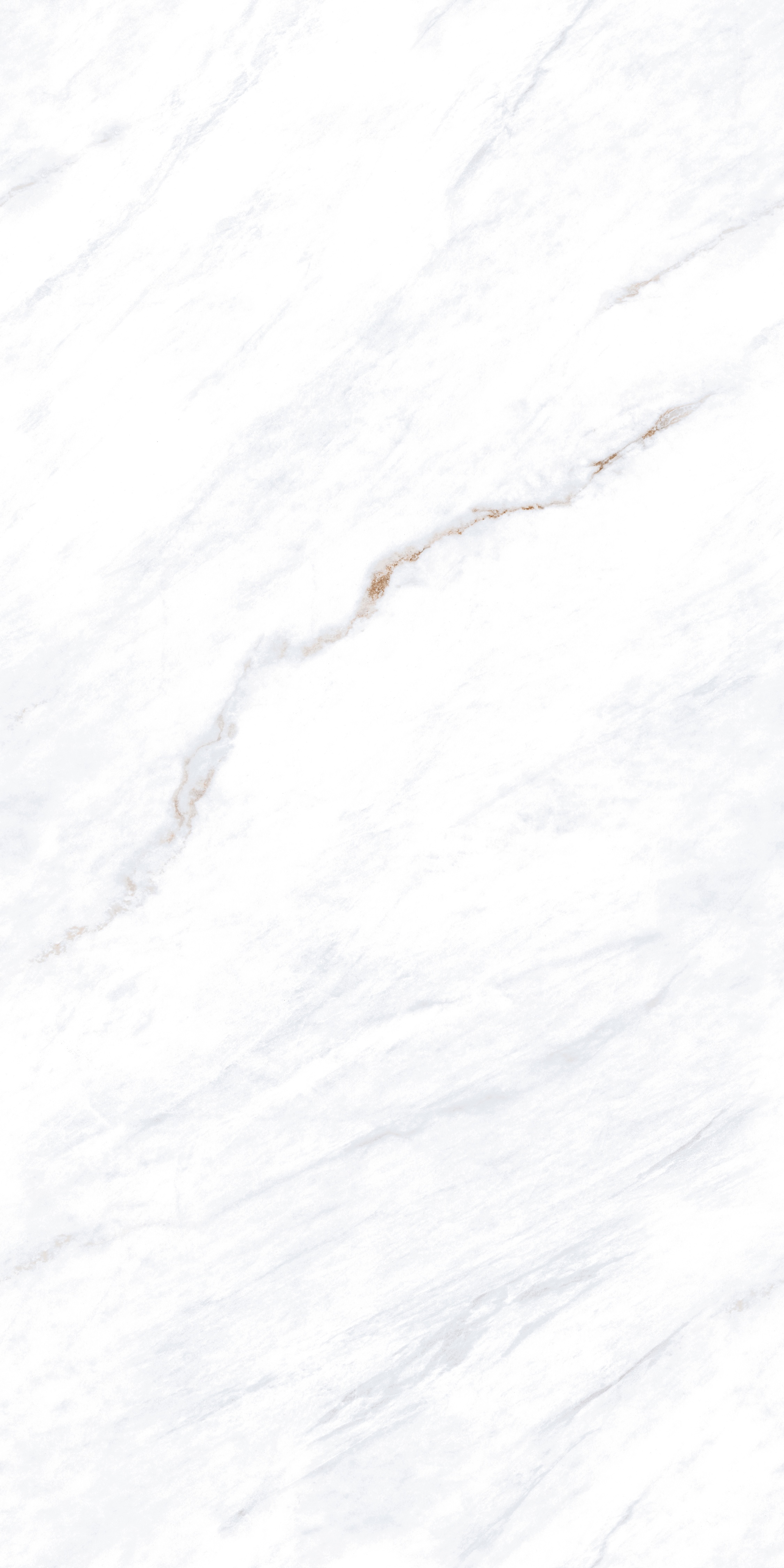 project-image