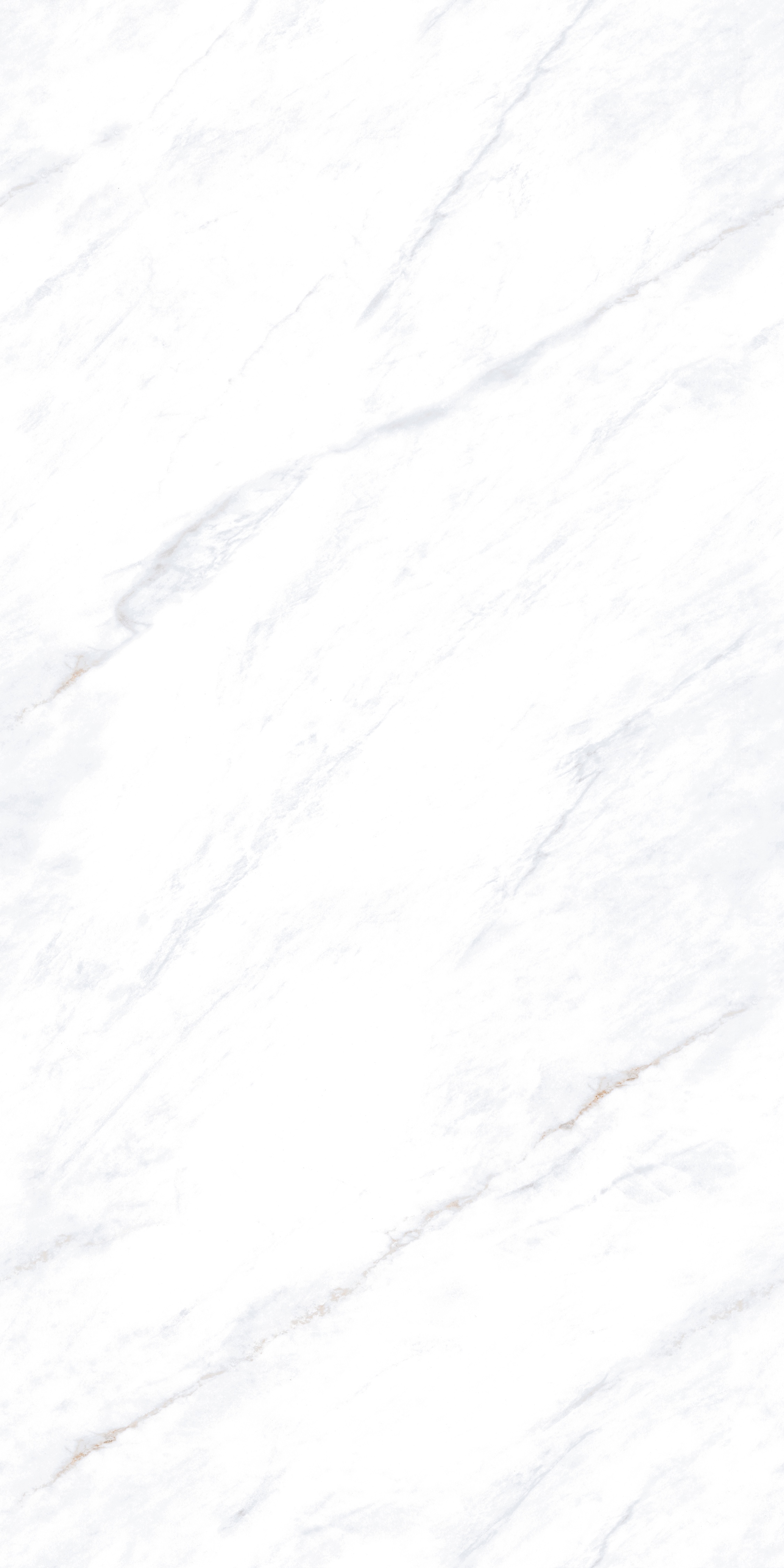 project-image