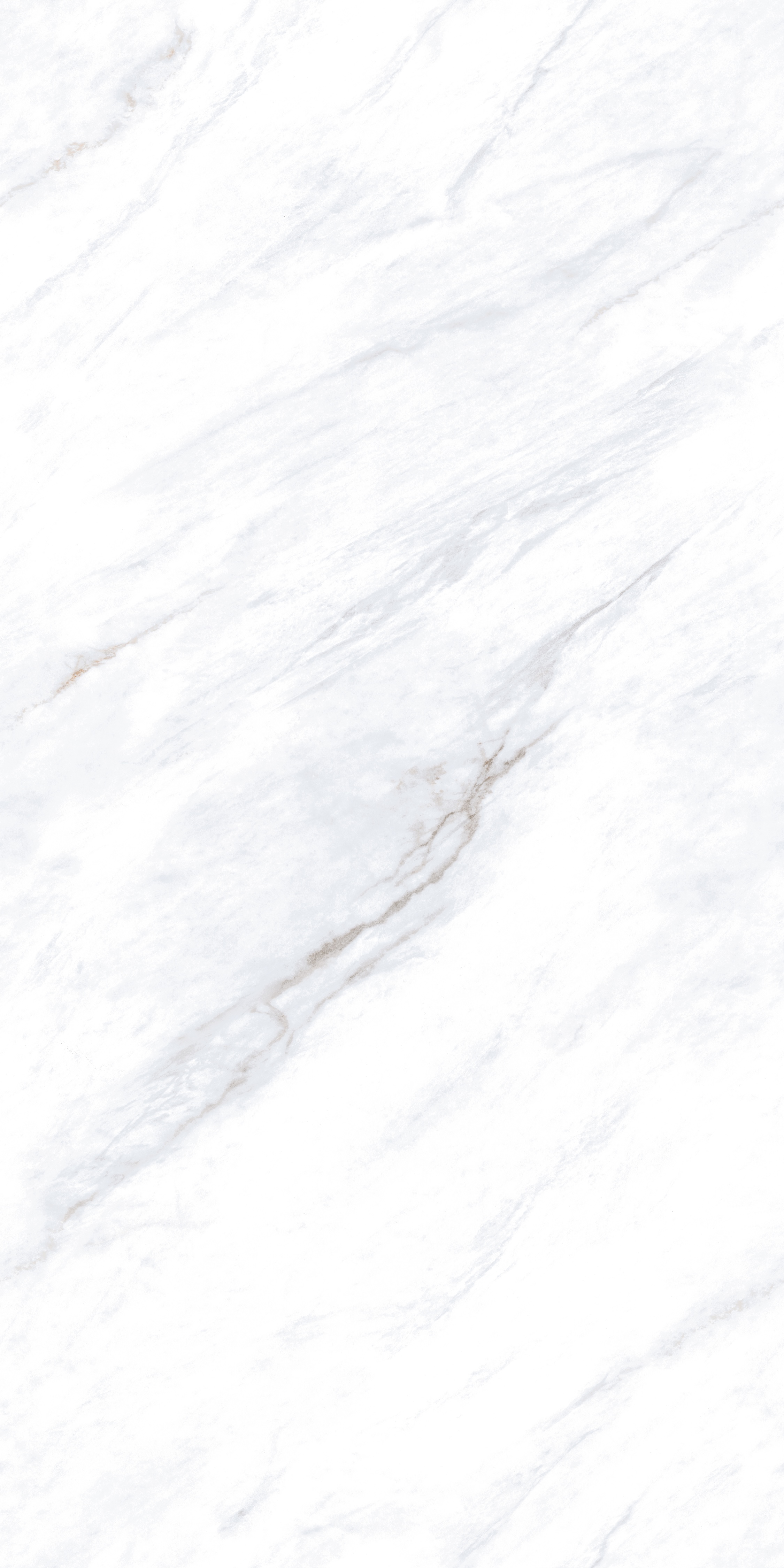project-image