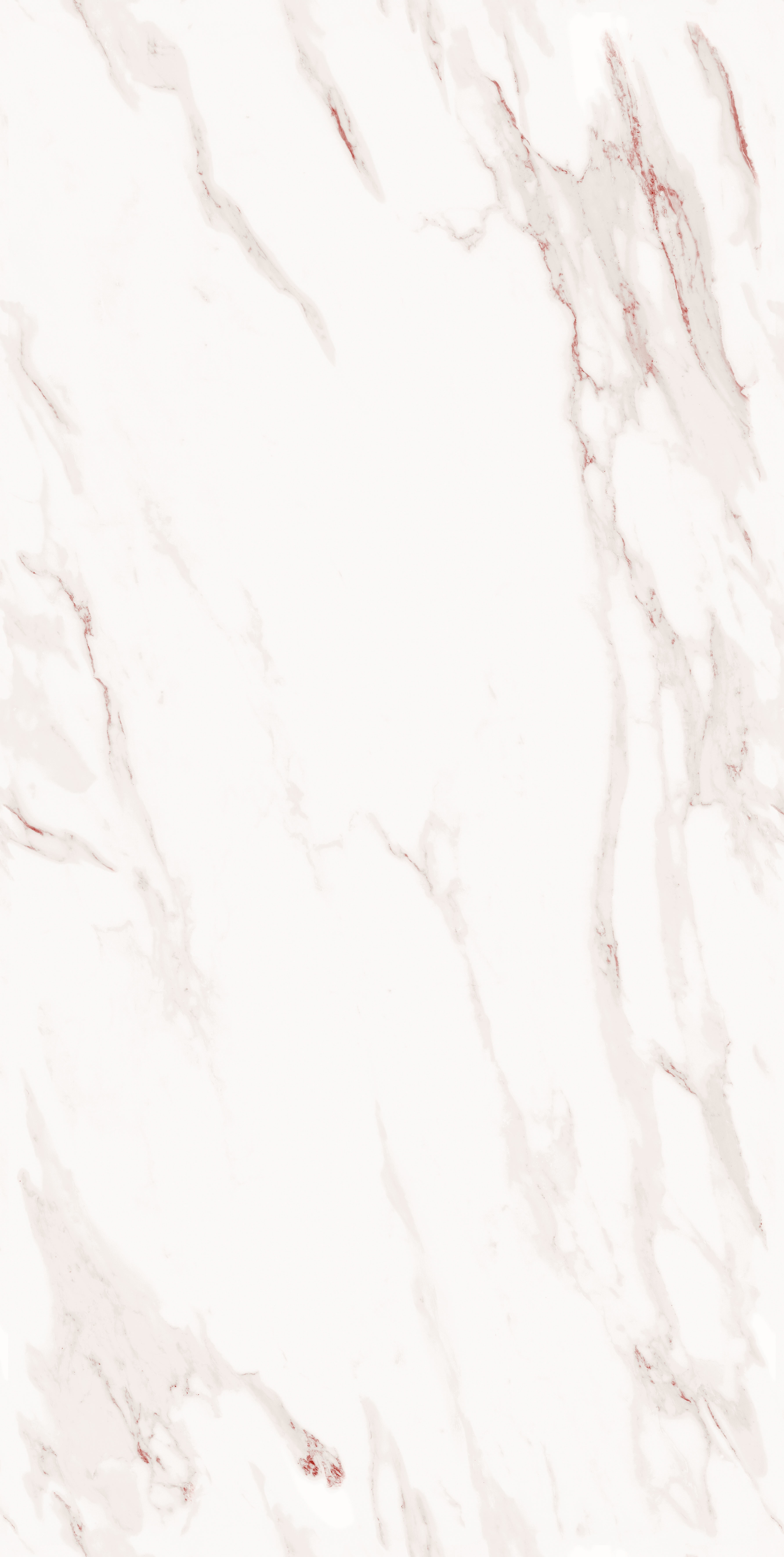 project-image