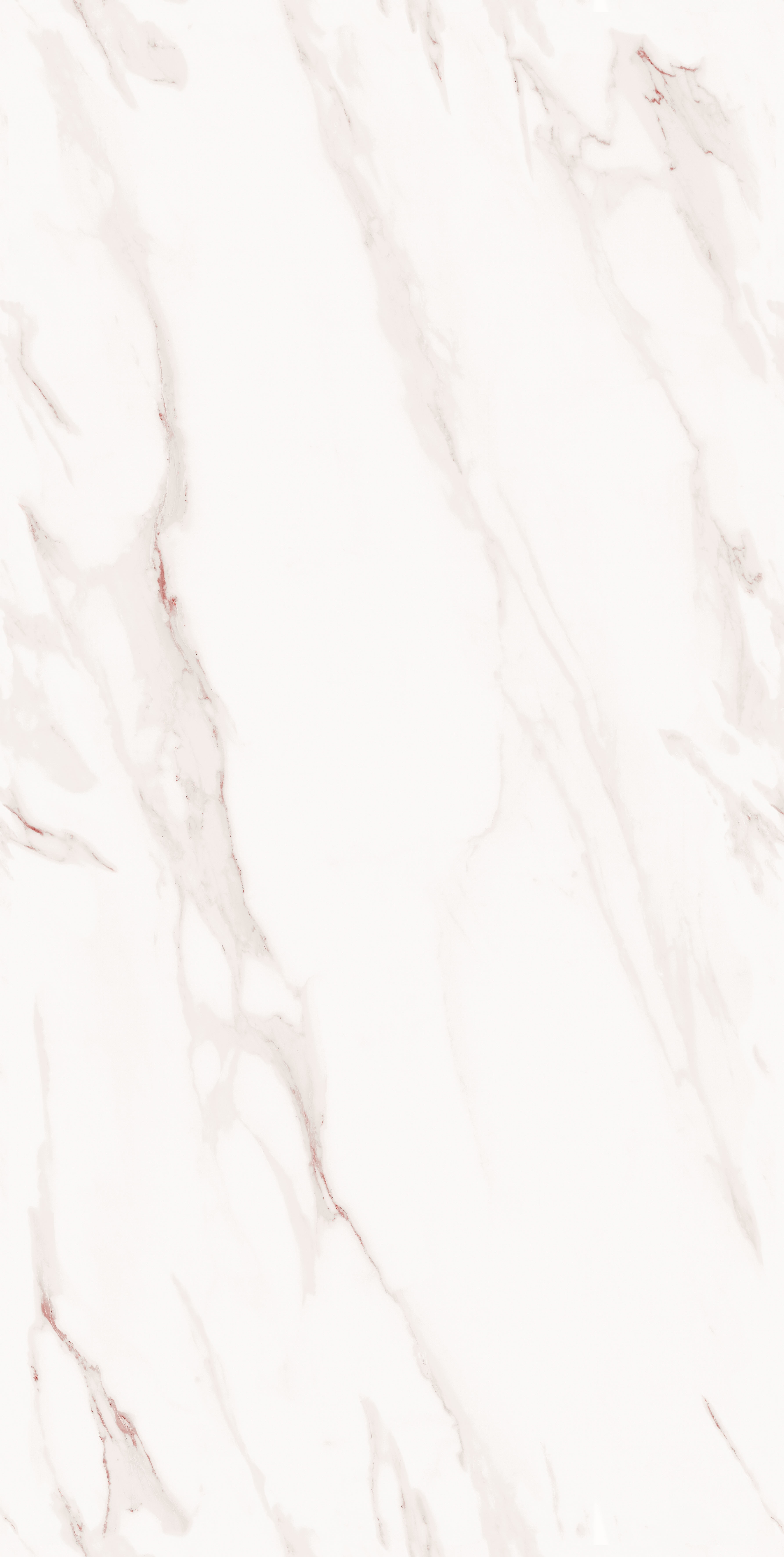 project-image