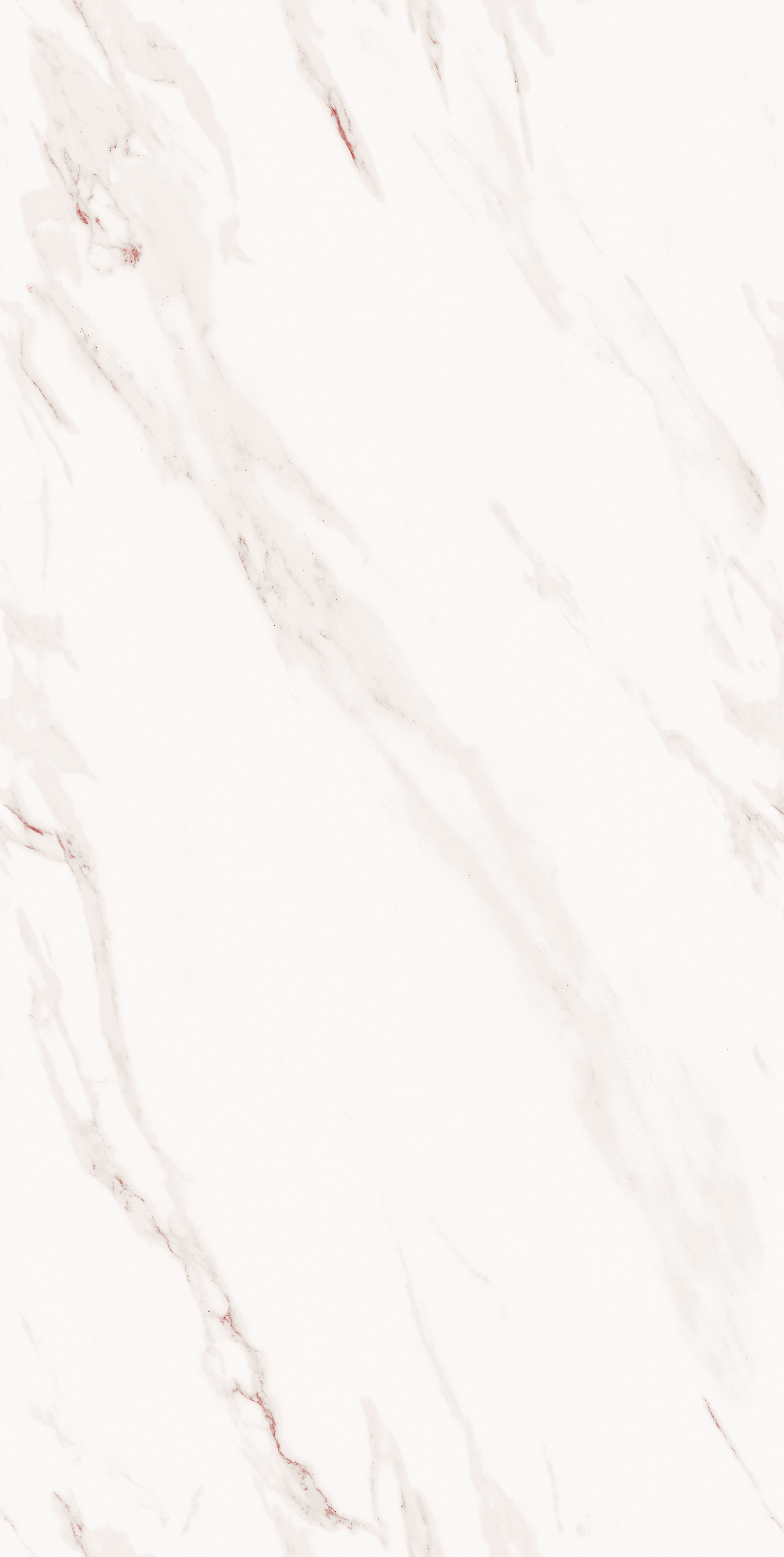 project-image