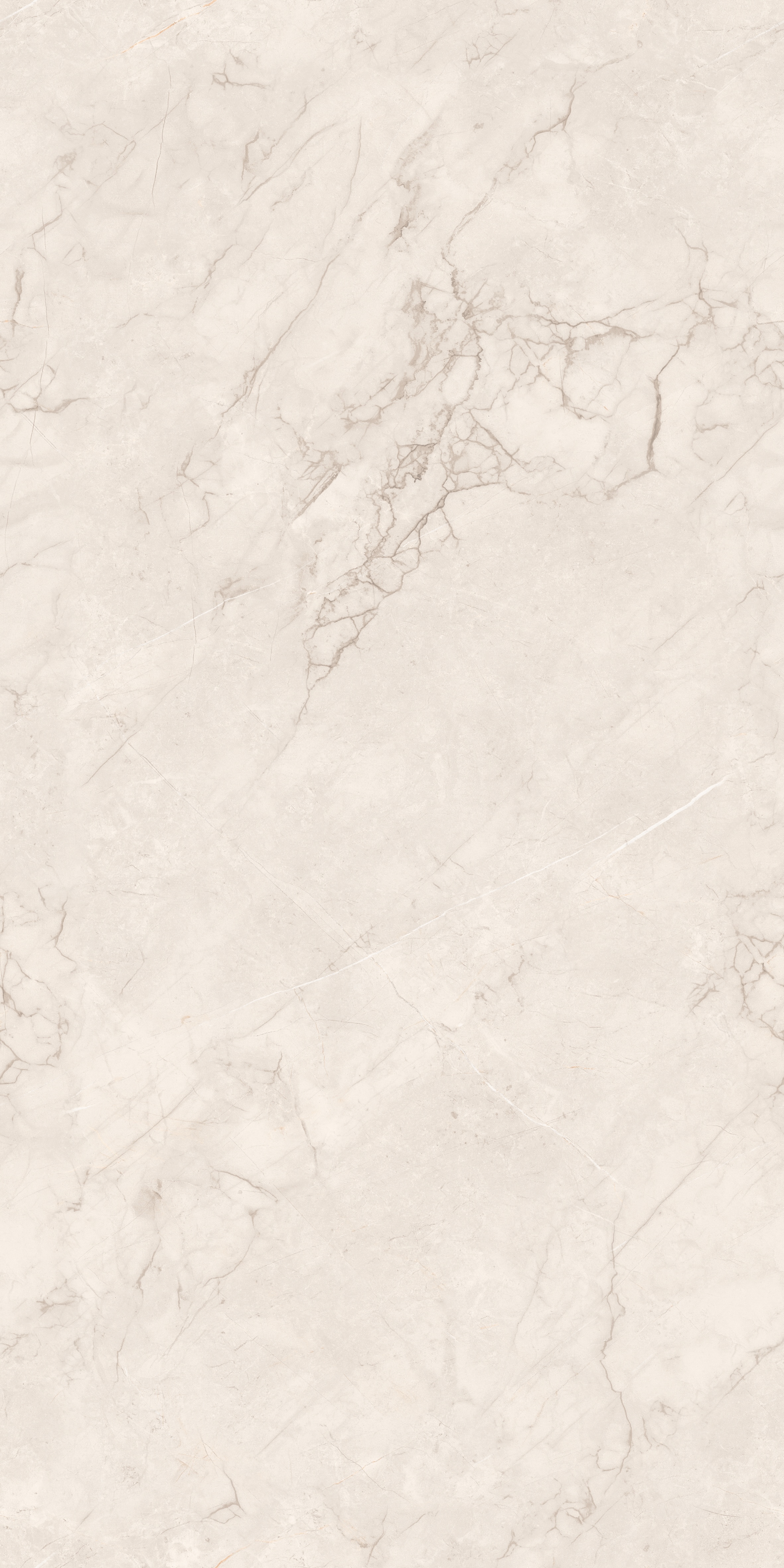project-image
