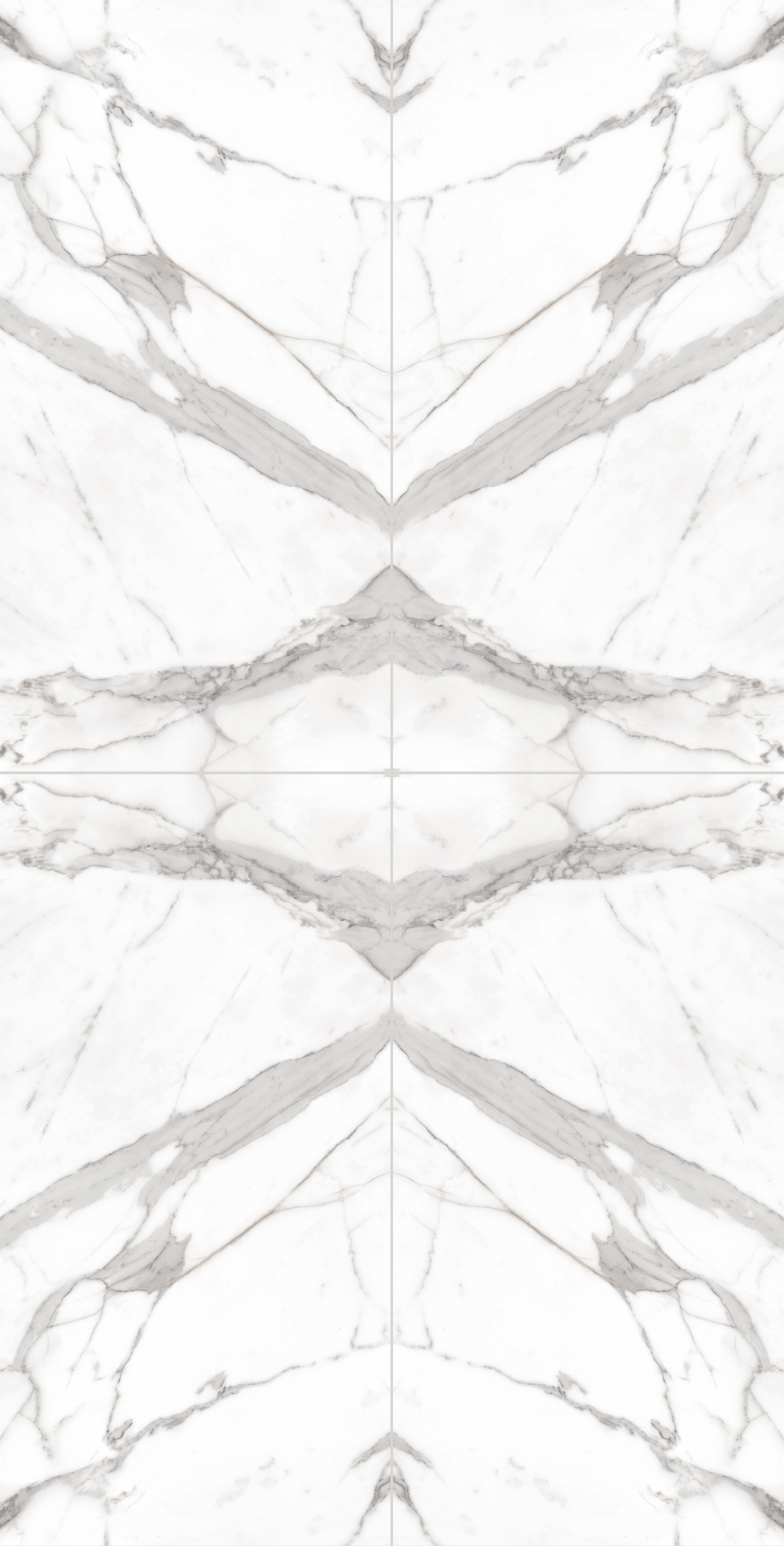 project-image